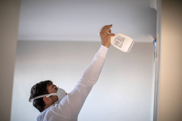 Best Best Mold Removal Companies  in Madison, NC