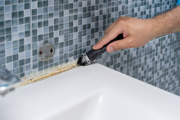  Madison, NC Mold Removal Pros