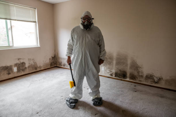 Best Residential Mold Removal  in Madison, NC